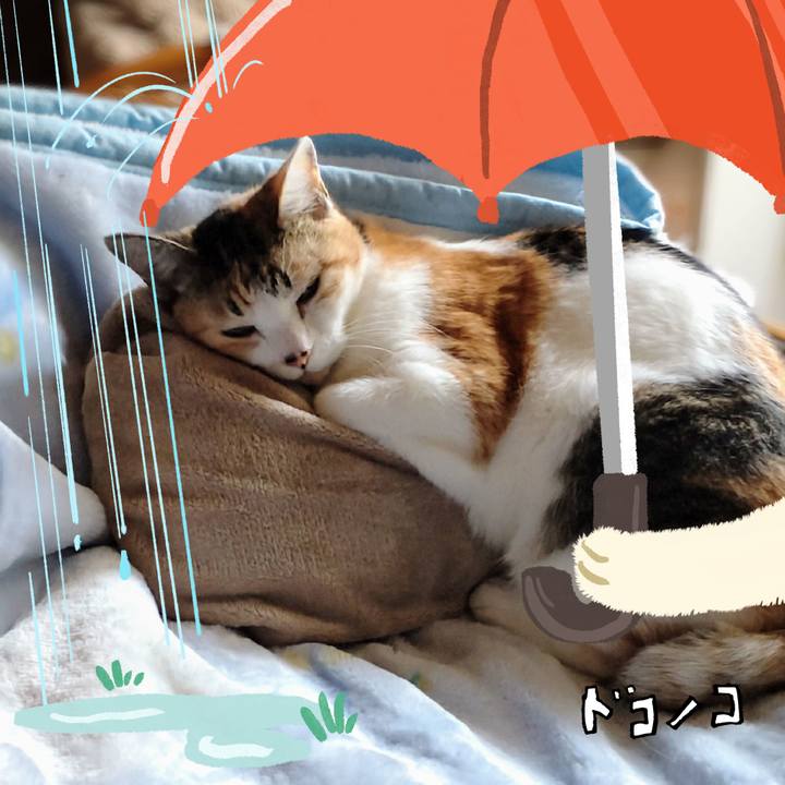 Af3b4d9c a065 4086 a0d5 c6f71730cc54 1749119257913