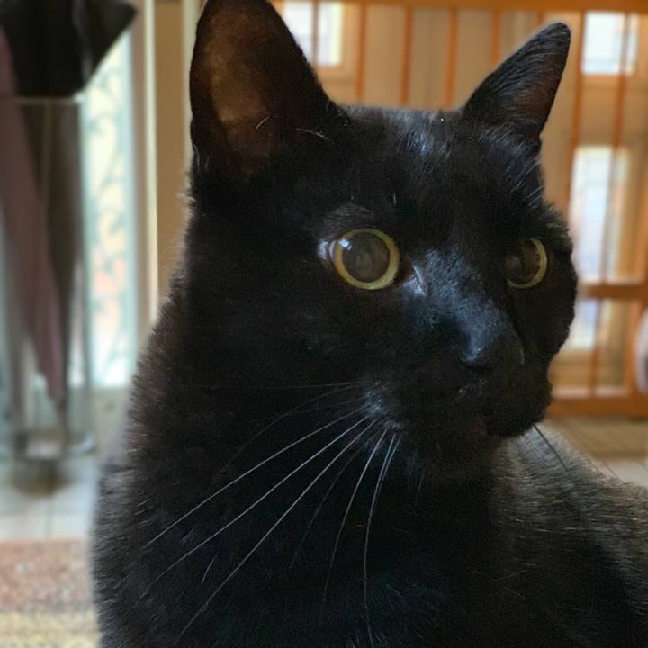 Af3b77ba 4e8f 4339 8b8c 61a1b5b8fc46 1546390085991