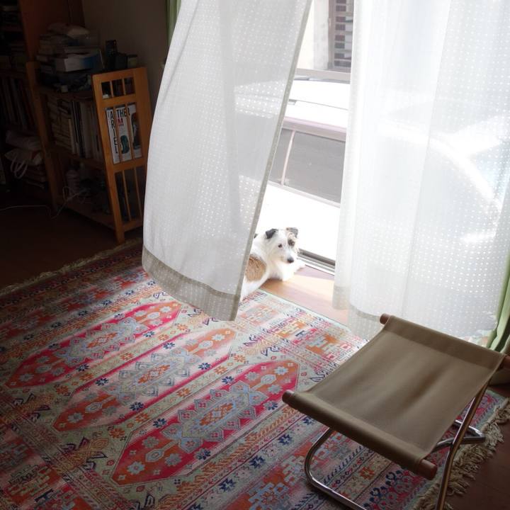 Af3b9636 091b 45fc abe8 3da8d1a6541b 1534599043098