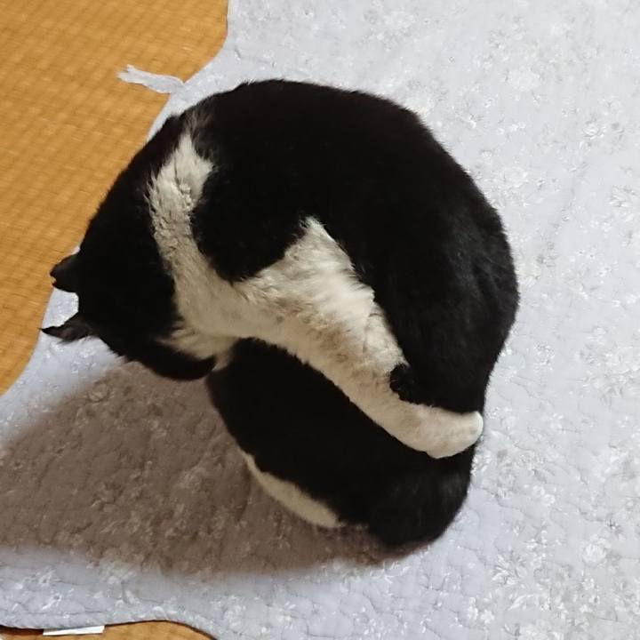 Af3ba7c7 f8a2 4de0 9561 52731347024b 1611820014155