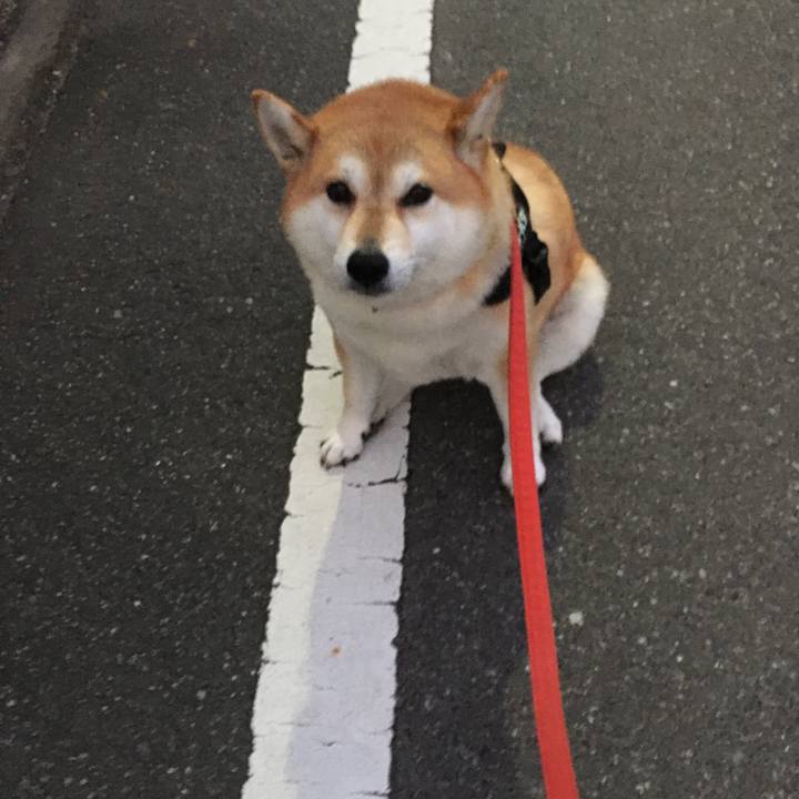 Af3bce99 143d 4514 998f f122eedaa977 1602580830972