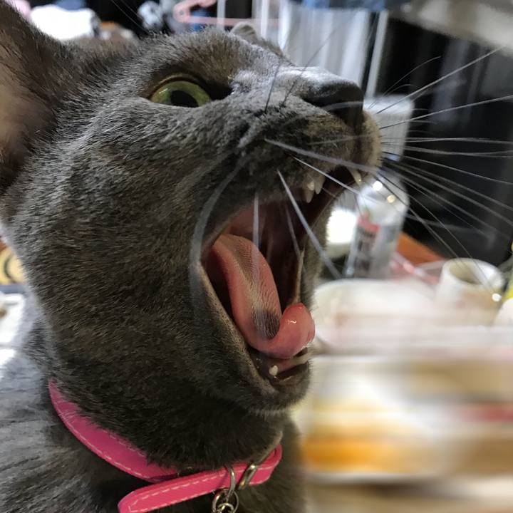 Af3bcfa3 b74d 4190 a957 252bd0738811 1525175405850