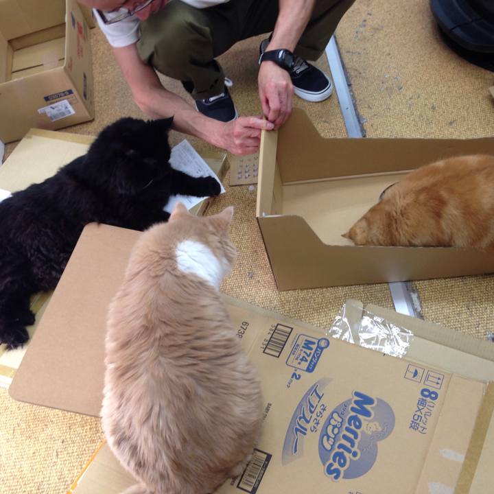 Af3bd21a 06a8 4c8d 8355 00637c554c9a 1509416806953