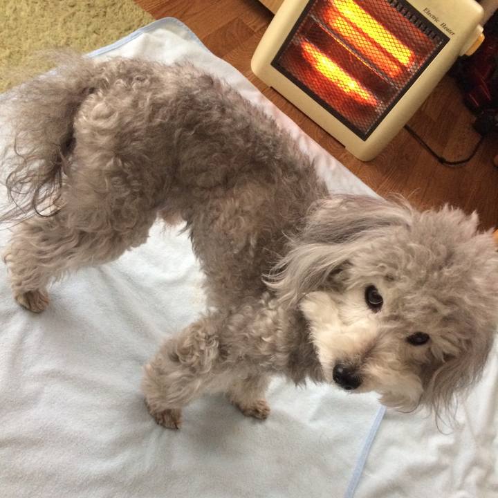 Af3bdbd6 b925 4580 8e68 c72b9c418e13 1519167765172