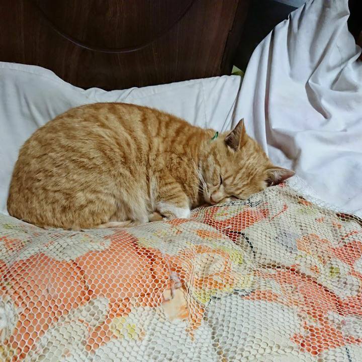 Af3be2e7 3238 428b bfc2 c014201ff389 1584880454774