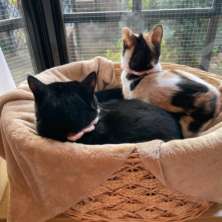 Af3c00e3 f430 4cb9 bca9 36c5c15facbd 1667513528150