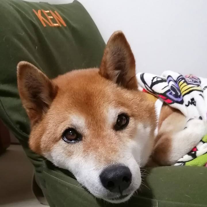 Af3c19b0 1fad 44dd 8756 f177fb1e170a 1647987749553