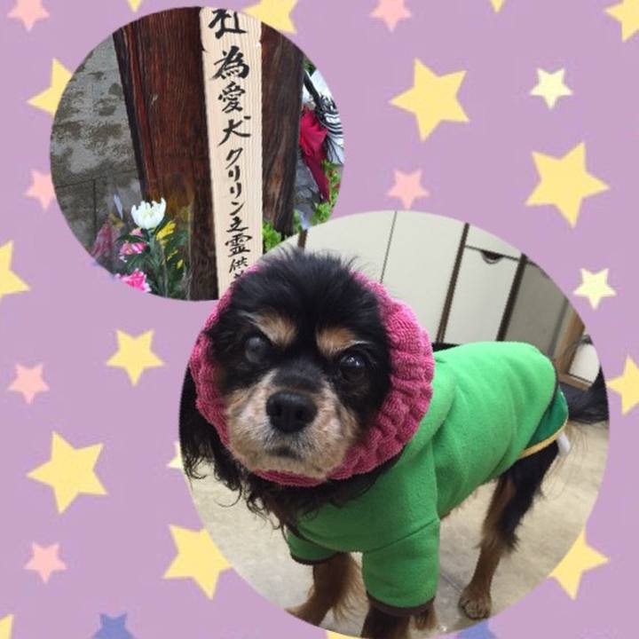 Af3c3171 9edf 4f63 8c2d 4f16303e581e 1507693686954