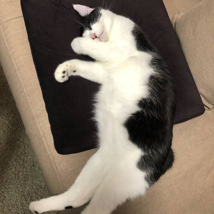 Af3cb2f4 44f2 43a2 8551 f878cb911269 1624195738466