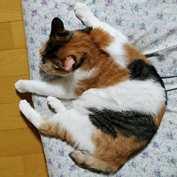 Af3cbd50 8cc4 4cad a1c8 d0351e288441 1525001475696