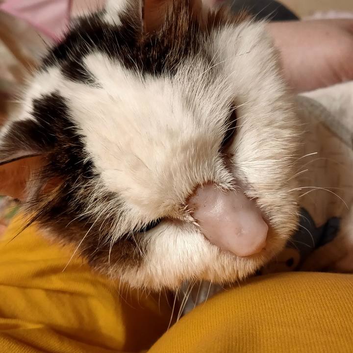 Af3ccc0f 4524 4150 b2fa 24f4bb4faa8a 1617807288112