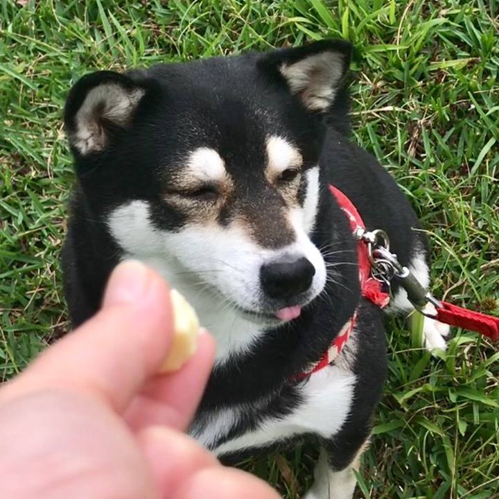 Af3cdc64 cc9d 4bee 965e 3816ecac70f0 1554347130375