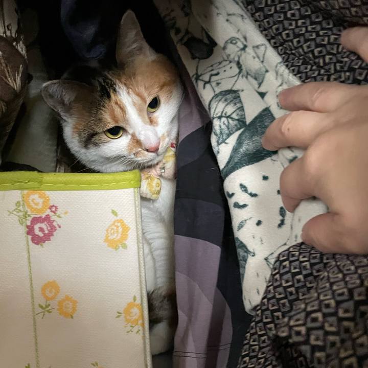 Af3ce5d4 9902 49b4 9719 4d9c9af352a3 1648164849297