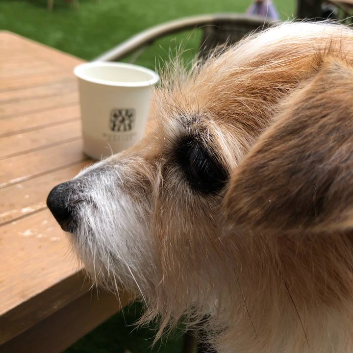 Af3ceb1b e08f 46cb b0a6 f7b7e410b064 1604903172195