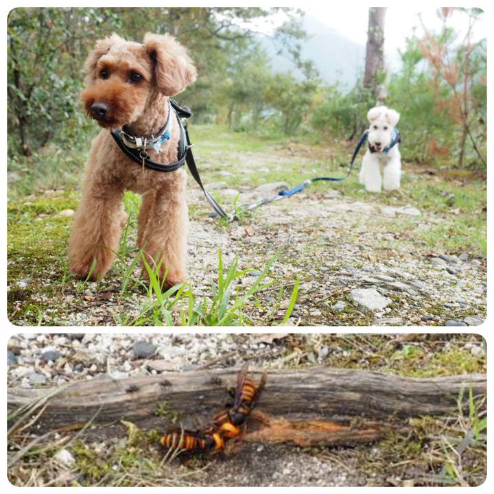 Af3d118c 6fbc 42e3 887b e0c7cea4ae71 1537847891542