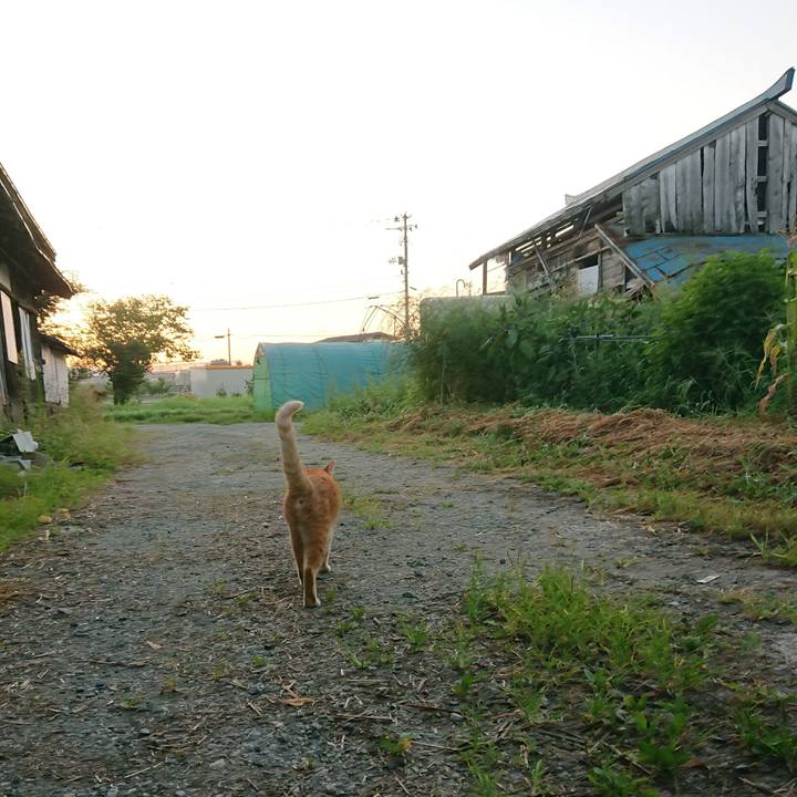 Af3d2a9b 4b0a 457a 8dad ca5b1c7c64e0 1598560704075