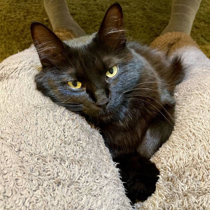 Af3d4899 670d 4f6a 91d2 8c43aada14b7 1732187213519