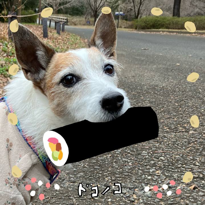 Af3d858a 75a5 447f a8e2 cc6e48ffa5ae 1741217143422