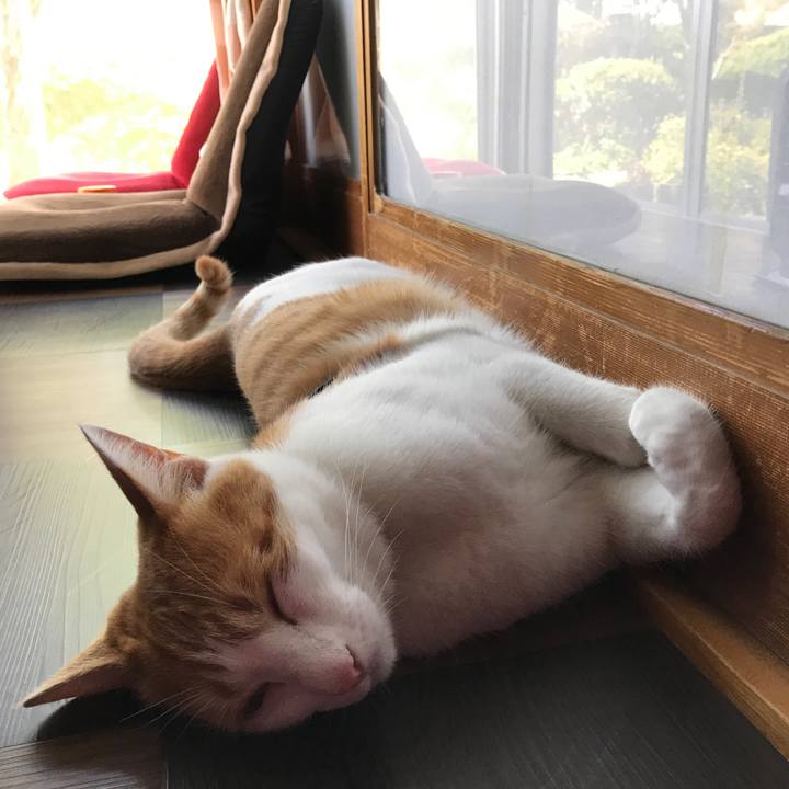 Af3d8774 08ab 4243 8308 8d59b21b93ac 1530519976168