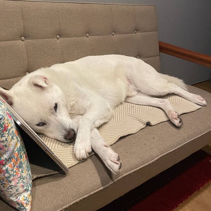 Af3db0f9 0044 4c24 84dd f7d2ac2a9c27 1767781138137