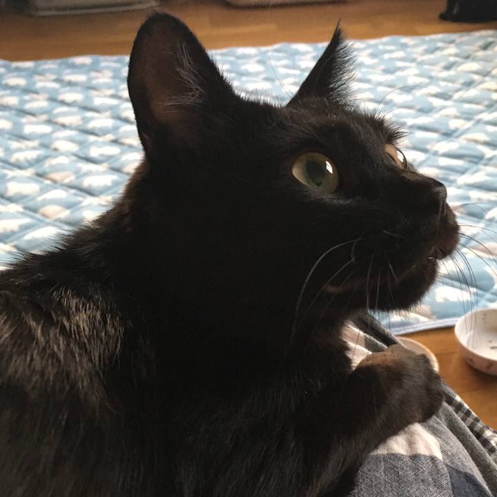 Af3dd645 30a0 4c4a b1a4 a03dde1c9b89 1533548118028