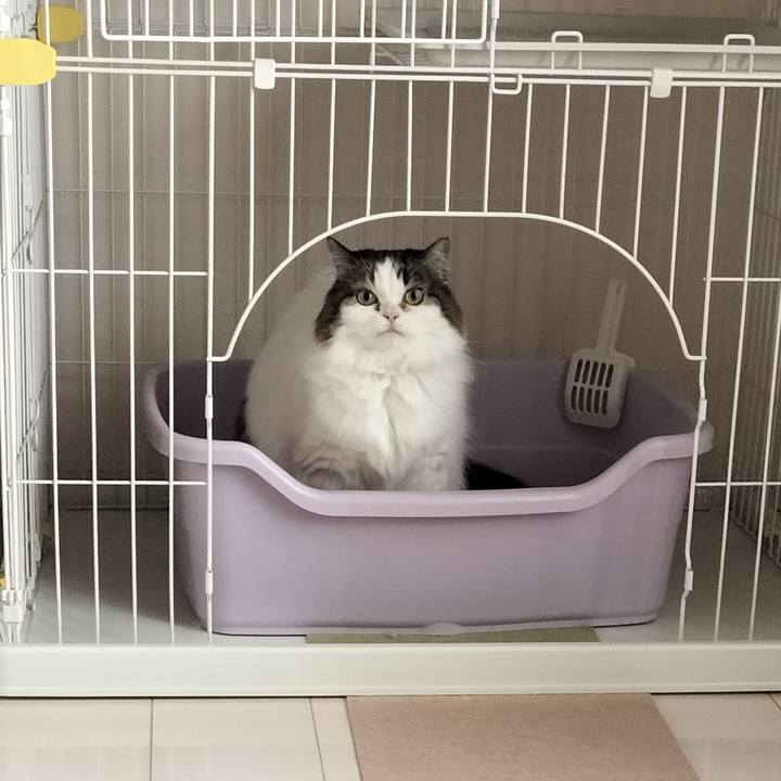 Af3e0c32 b7fd 4df6 b813 405816e8e000 1759628199101