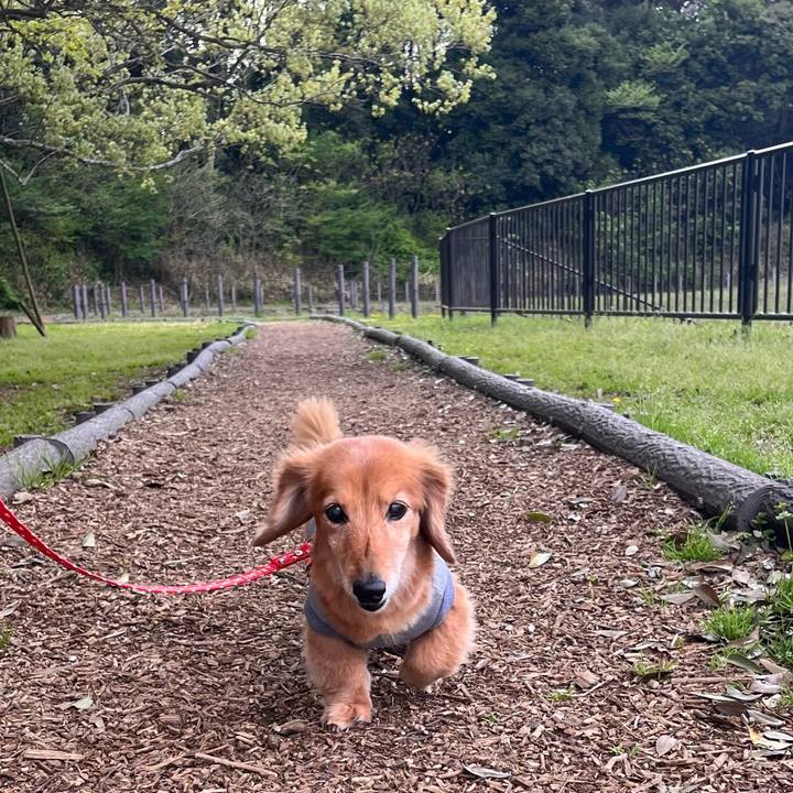 Af3e3955 e87b 49b8 a7c6 3060dddf4fff 1650195103131