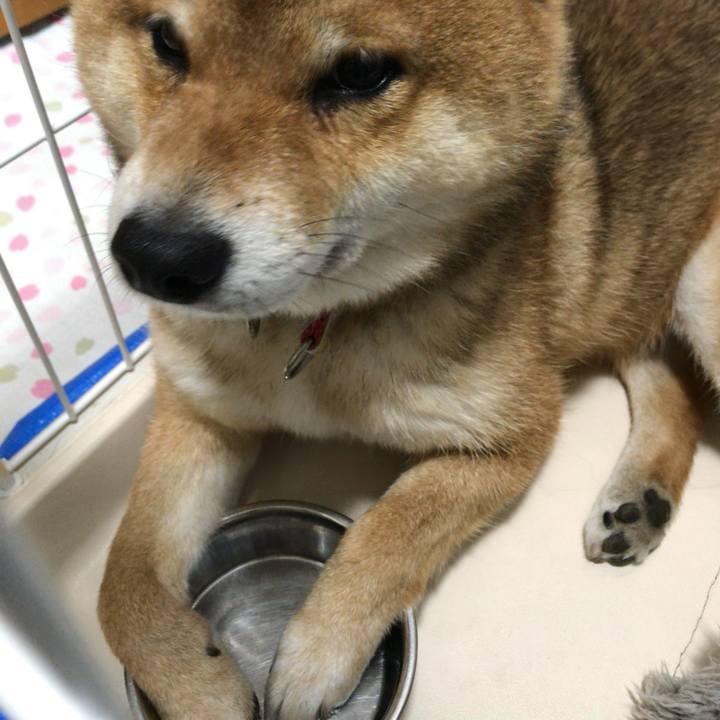 Af3e5b09 de87 4235 9571 03b68ebb6b4e 1589380183951