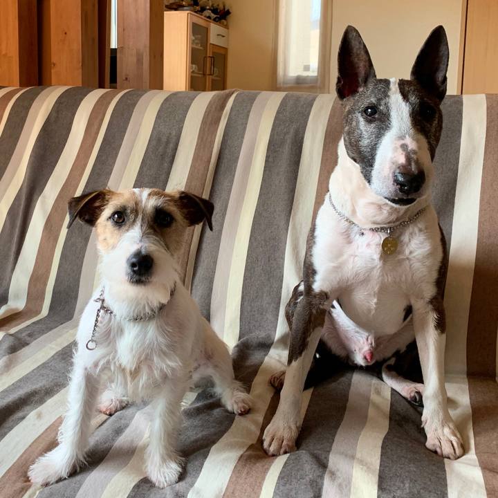 Af3e69e2 27e5 4dc2 9938 b2ede1929b81 1583042160338