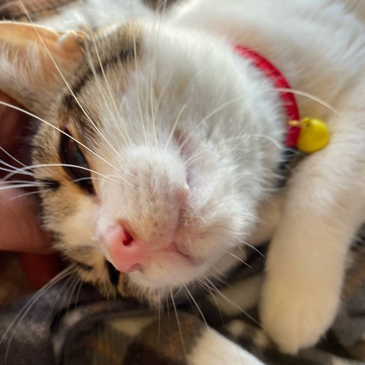 Af3e6b06 5e46 4d51 8d14 ef41d24a6a86 1705306474990