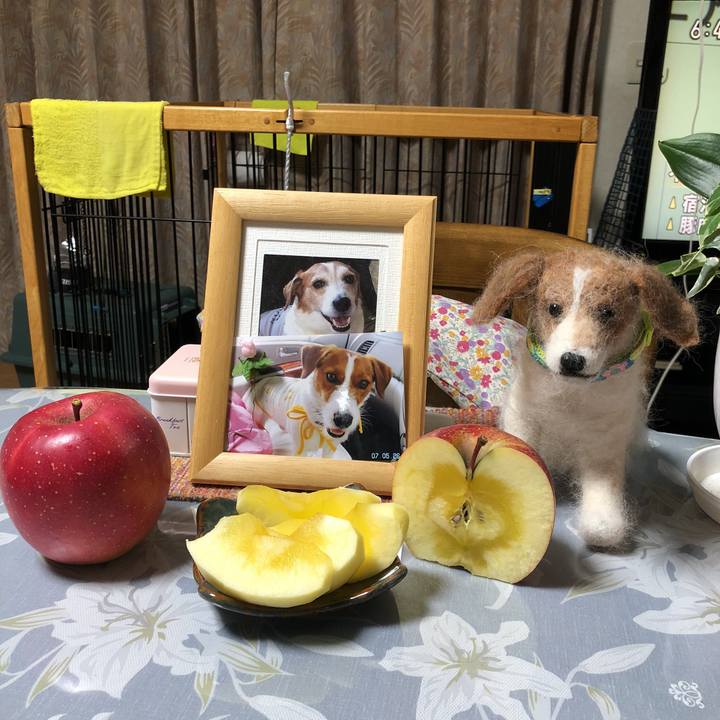 Af3ed305 34bc 4e78 838b 906f7f22a456 1512381007144