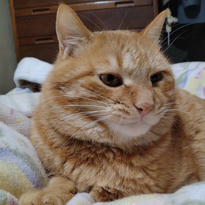 Af3ed394 524f 444d 8444 53d4ca5d3c59 1672556154542