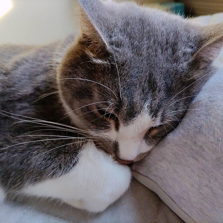 Af3ef495 6c49 4000 9adb cd119623c450 1686002544098