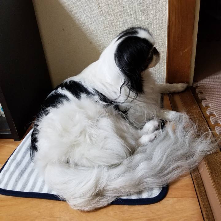 Af3f3f8a 5be2 4afd 9c3b 11d7aa7165c7 1534675219415