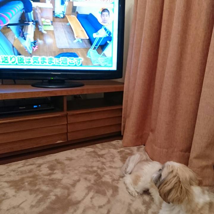 Af3f4985 cbe6 4e67 a15d 520a1c12b434 1521022637131