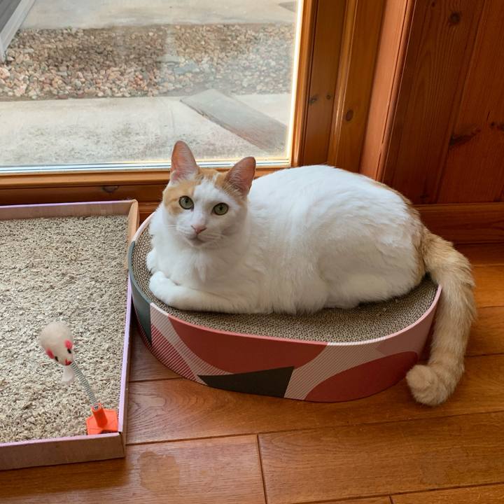 Af3f71f1 a3c9 46d6 ac94 9879b7d6c53c 1624244806113