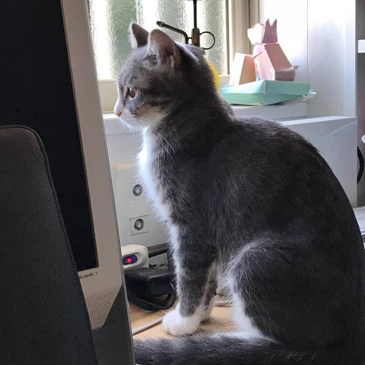 Af3fa21e 498e 4a53 80e4 0f24dc5ba7f1 1535512432111