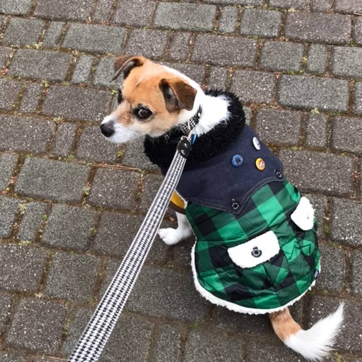 Af401227 8890 4e7e 993a 9cf77110d0b4 1548918097708