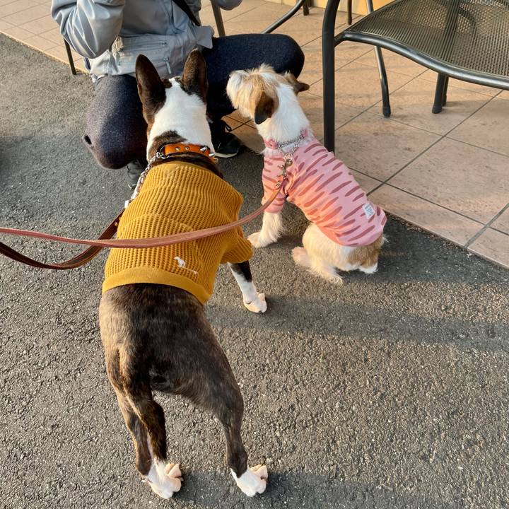 Af40188e f269 42b8 8144 a69a2721400a 1637398082589