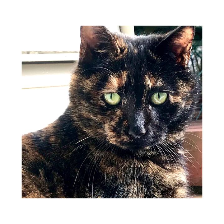 Af4029fb 2305 4c71 ac7f 299a6f16cb16 1636973390258