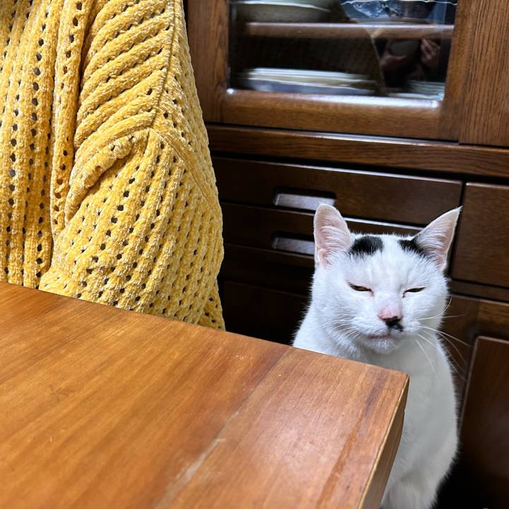 Af408355 7769 4e66 857f 6d8dadf4b452 1767534376355