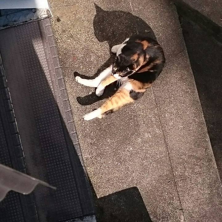 Af4085fe b3a7 4338 84a5 50c2d57e9a49 1509850015080