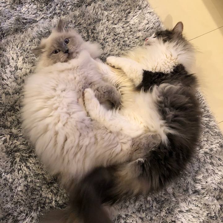 Af408c84 e473 4380 b55e afbb9c4b40cb 1529410059512