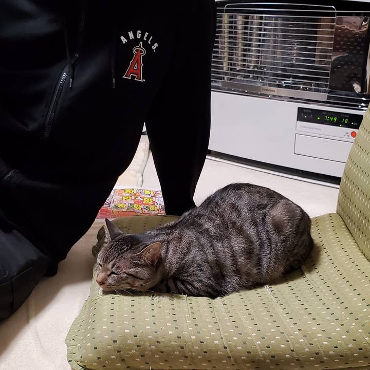 Af409c5a aa6d 4c06 bd10 b2c9517bf47c 1697125445285