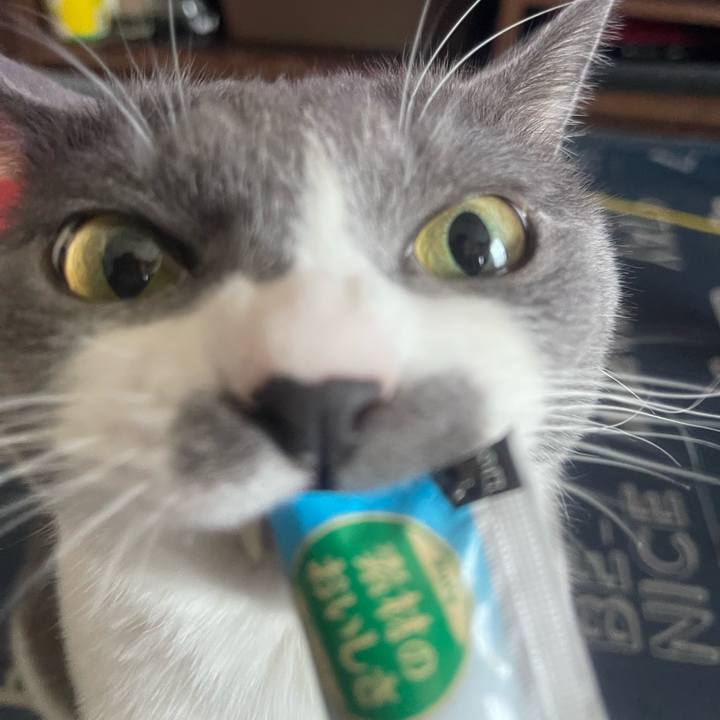 Af40b565 fdce 4aca b7d0 e8e2981eed22 1723270445416