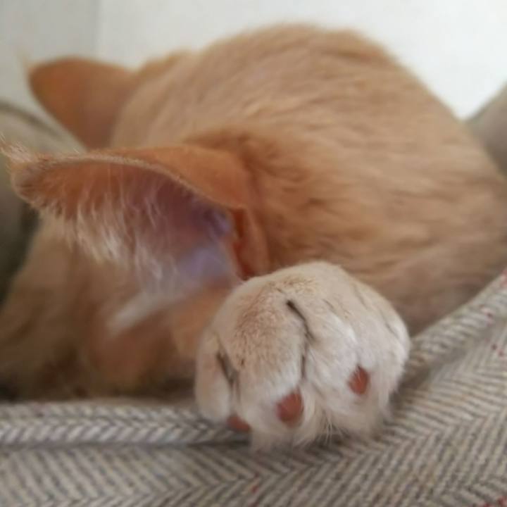 Af40c565 fb72 4495 b65b 5f76c807229b 1677900153147