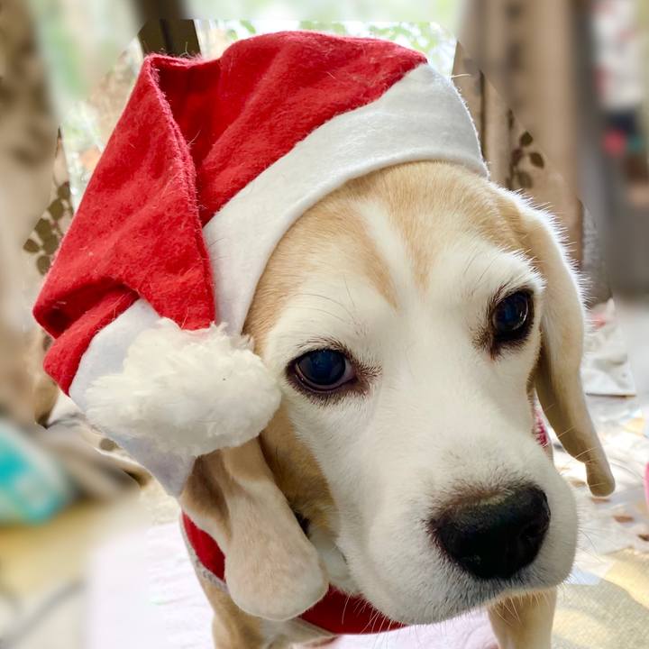 Af40cd54 cbfe 42db 9a23 089e53e165ca 1640405414982