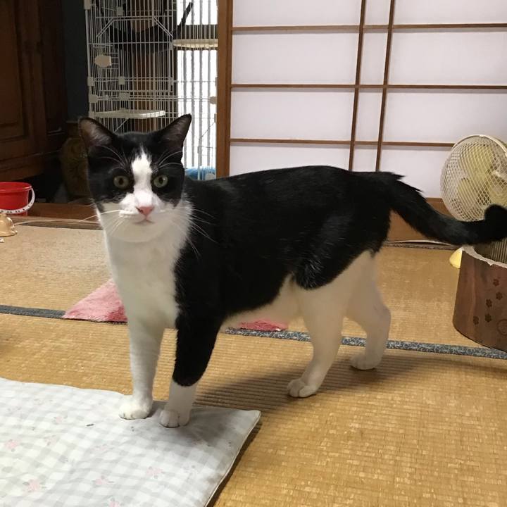 Af40d56f 9048 43bf b1b3 6535524b57c3 1724411867244