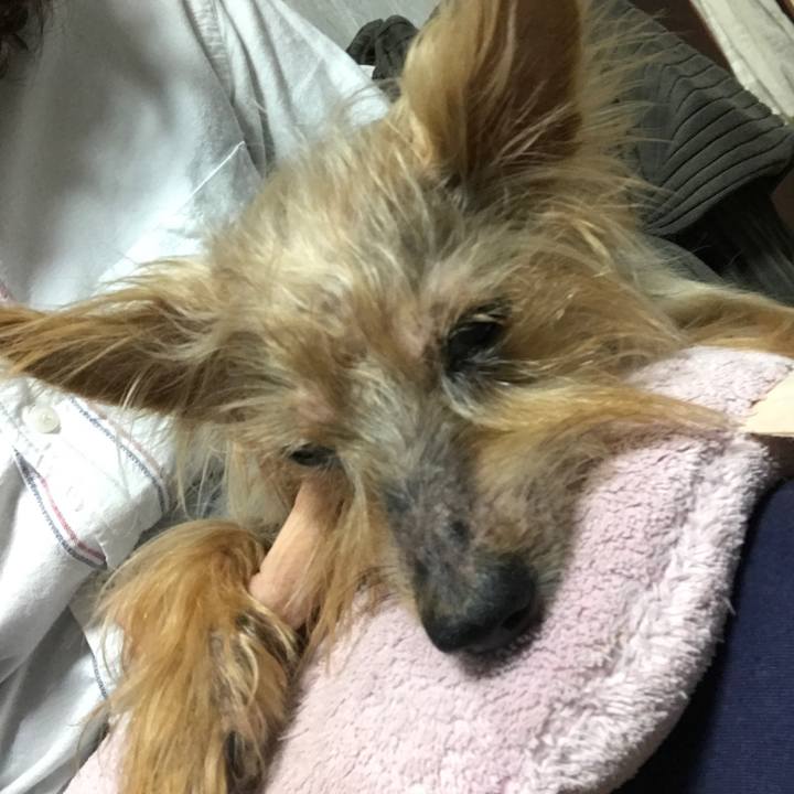 Af4121e9 f732 4f35 a68c bce22f61d8f0 1540022167198