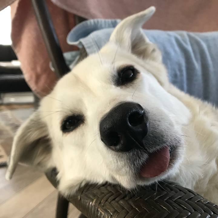 Af41279a 5b8f 4793 bb75 700908ad0aad 1615370068038